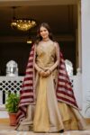 Women's Premium Banarasi Lehenga Choli with Dupatta | Real Mirror Work Bridal & Festive Wear | Shaarika
