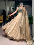 Women's Premium Fendy Silk Lehenga Choli with Embroidered Banglory Blouse | Designer Wedding & Festive Wear | Shaarika