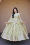 Women's Premium Fendi Silk Embroidered Gown with Dupatta | Heavy Sequins & Zari Party Wear | Shaarika